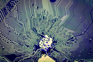 解碼張江創(chuàng)新密碼 從2018上海科技進(jìn)步報(bào)告看軟件開(kāi)發(fā)的奮進(jìn)足音