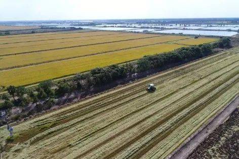 追隨百年夢想，構筑實力光明 花博會百花館封頂禮成，光明騎行共繪文旅新篇